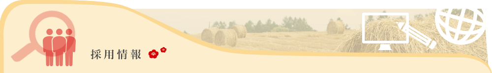 採用情報